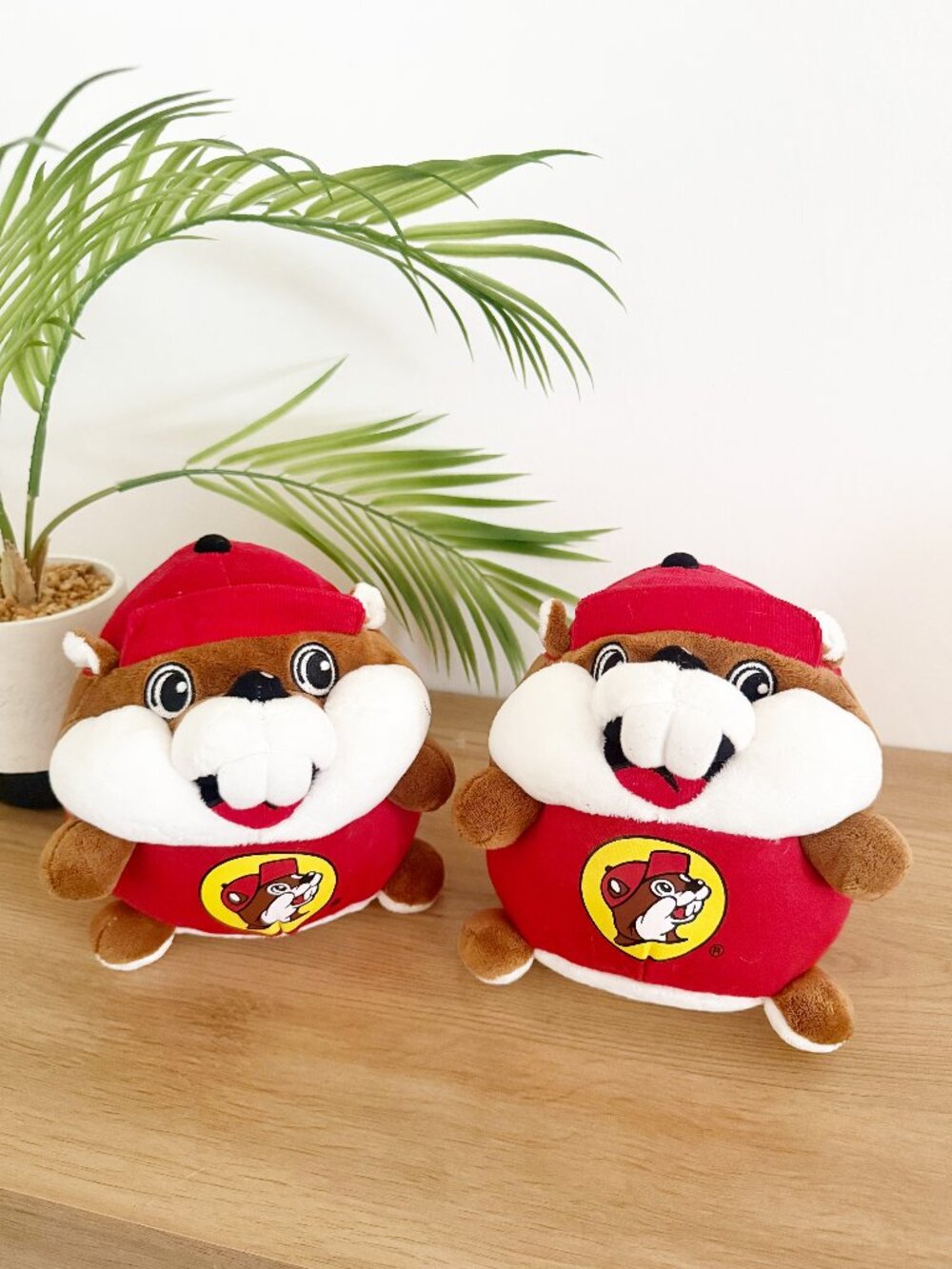 Pair of Buc-ee's Beaver Ball Stuffed Round Plush Plushie Bucees